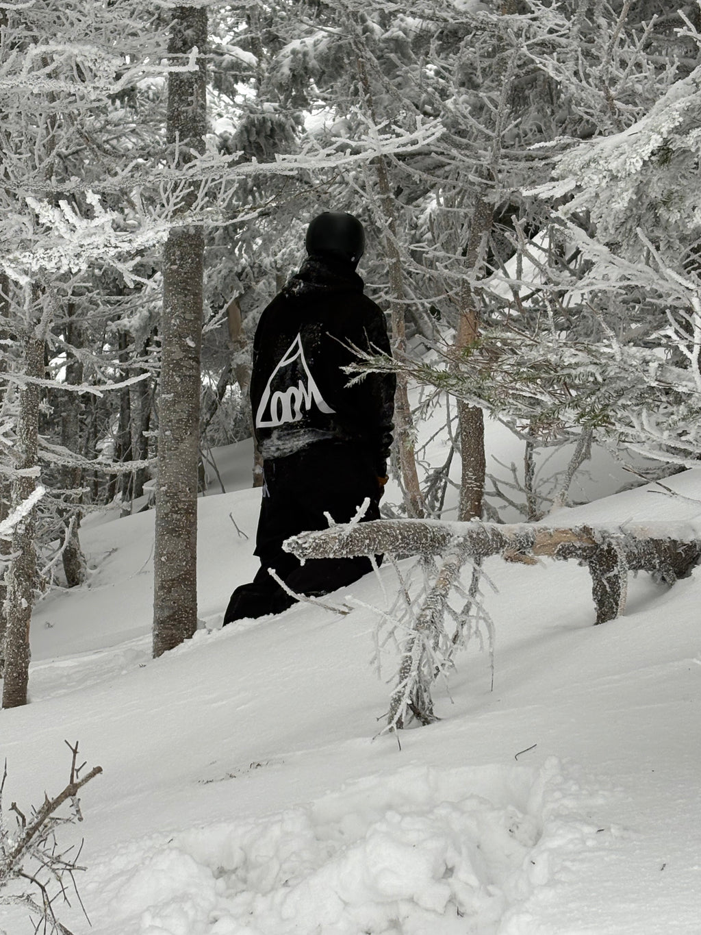HOODS