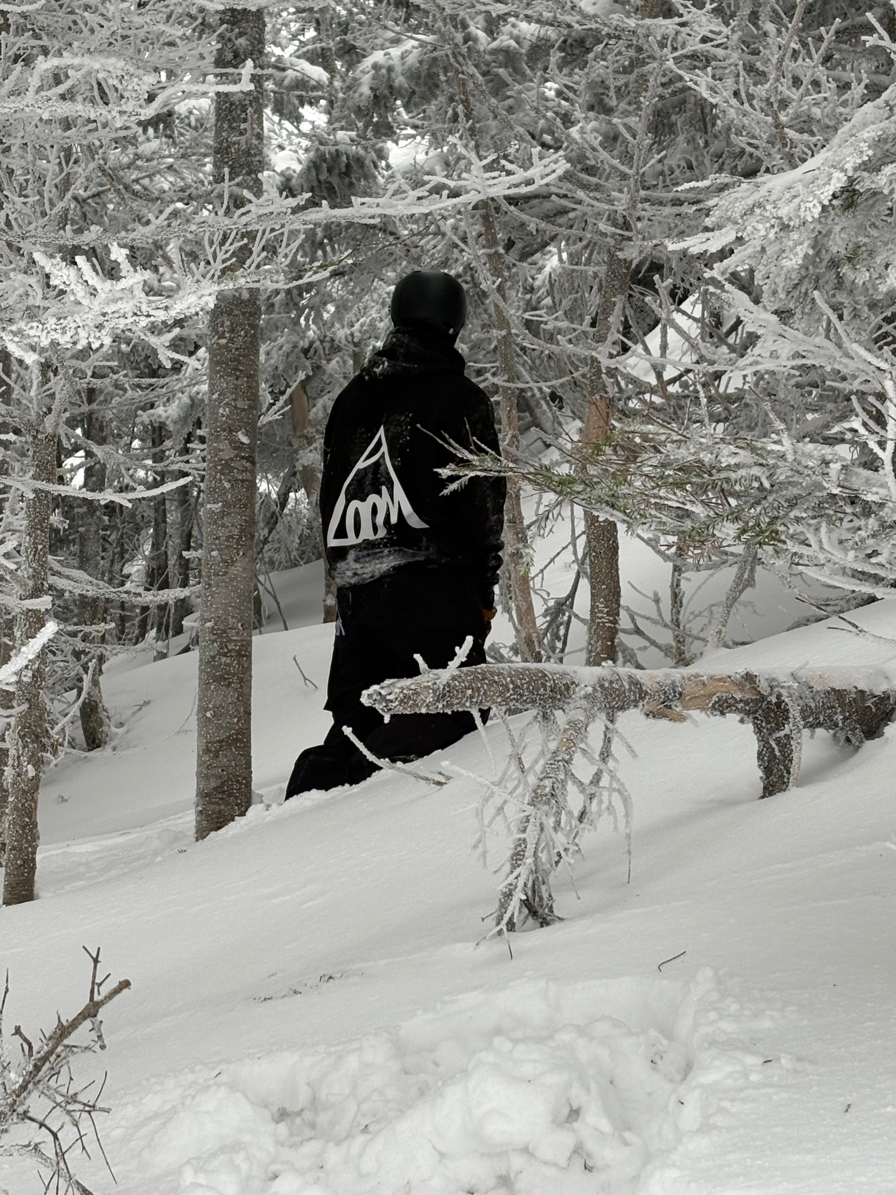 HOODS